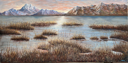 Morning Marsh